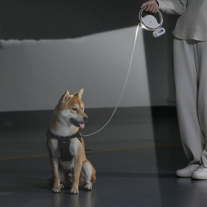 Retractable Dog Leash with LED spotlight