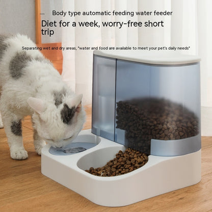 Automatic 2 in 1 Pet Feeder